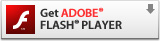 Adobe  Flash Player