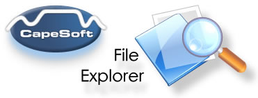 FileExplorer header