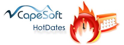 CapeSoft Logo