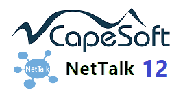 CapeSoft Logo