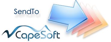 CapeSoft Logo