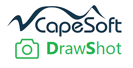 CapeSoft Logo