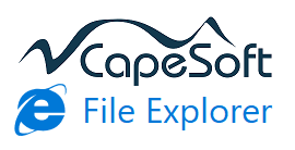 CapeSoft Logo