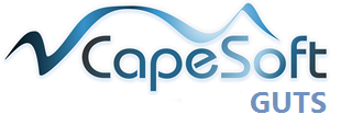 CapeSoft Logo