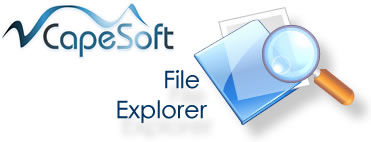 File Explorer header