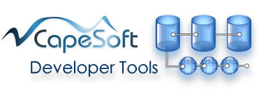 developer tools header