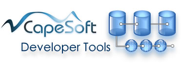 developer tools header